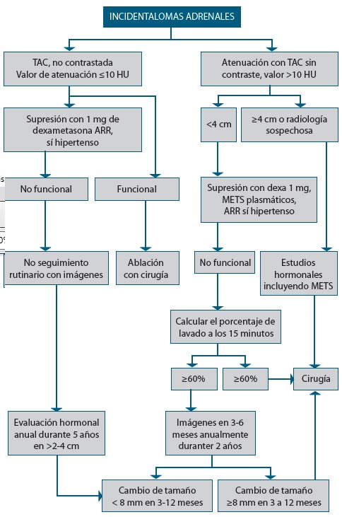 incidentalomas adrenales