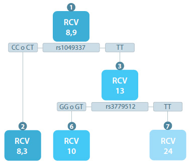 Figura 1. Árbol de regresión que esquematiza las asociaciones entre el puntaje de riesgo cardiovascular (RCV) y los genotipos de los SNPs analizados: rs3779512, rs926198, rs10207569, rs11773845, rs7804372, rs1049737. El genotipo TT para el SNP rs1049337 mostró un mayor puntaje de RCV en comparación con los genotipos CC o CT (p=2,88x10-5), a su vez, el genotipo TT para el SNP rs3779512 incrementó aún más el valor (p=0,0002). En este