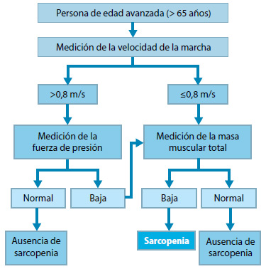 Figura 3. Diagnóstico de sarcopenia(3)
