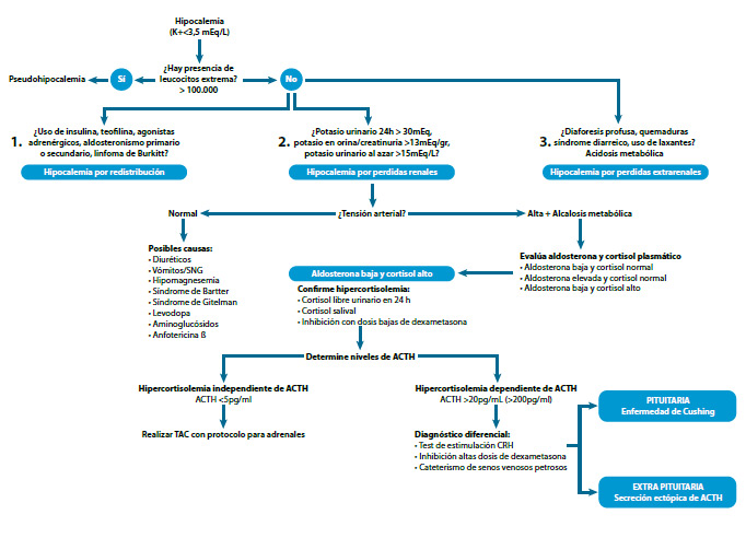 Figura 5. Flujograma diagnóstico de pacientes con hipocalemia y sospecha de hipercortisolismo por secreción