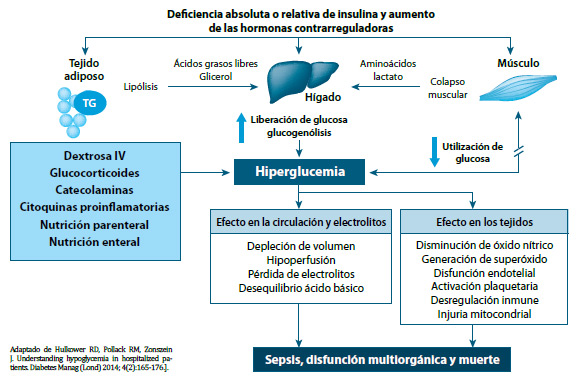 Figura 1. Patogénesis de la hiperglucemia