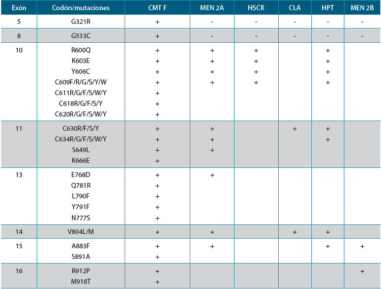 Tabla 1. Correlación entre las mutaciones y el fenotipo en el síndrome de neoplasia endocrina múltiple