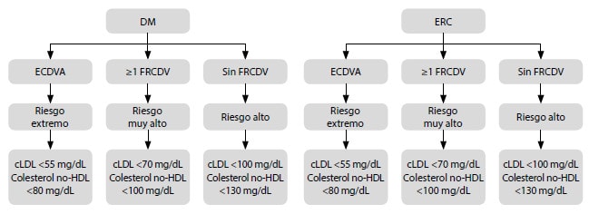 Figura 6. Clasificación de riesgo por condiciones específicas (DM y ERC)