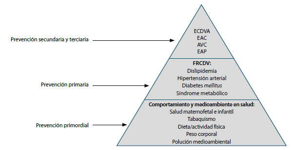 Figura 7. Prevención de la ECDV y promoción de la salud