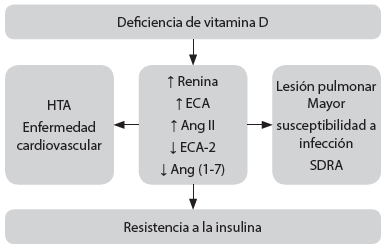 Figura 1. Deficiencia de la vitamina D y su relación